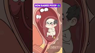 Wait… Babies Poop in the Womb?!  (And Here’s Who Cleans It!)