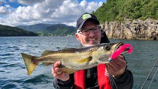 Angeln in Norwegen: Furre Hytter - Pollack-Perle im Südwesten Norwegens