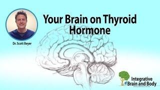 Your Brain On Thyroid Hormone