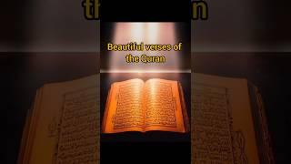 Quran the last Holy book️ #shorts @multimediapk249 #ytshorts #muslim #status