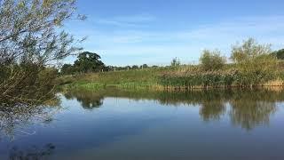 Day’s fishing at hawford bridge on Redding’s pool great session !!