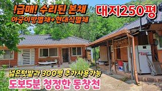 땅이모490 급매 250평 주택3채 청정환경주택 문의 010-9487-8654.#밀양전원주택매매 #삼랑진읍촌집매매#밀양촌집매매#밀양급매주택#밀양주말주택매매#청도촌집매매#청도급매주택