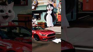 let's go honey #cat#trendingshorts#catvideos