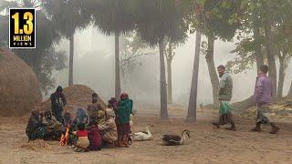 কুয়াশার চাদরে মোড়া সিরাজগঞ্জের বাকাই গ্রাম (২০২৩) || @PanoramaDocumentary