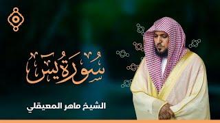 Surah Yasin Maher Al Muaqily-سورة يس القارئ الشيخ ماهر المعيقلي 