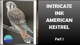 *NEW* Intricate Ink Vol. 5 - American Kestrel | Greyscale Colouring Part 1