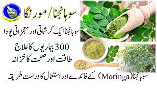 Sohanjna ke Fayde || Moringa ke Fayde || ۔300 بیماریوں کا علاج || مورنگا کے فائدے اور استعمال