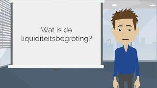 Wat is de liquiditeitsbegroting? Boekhoudkundige termen