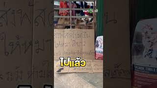 ไวรัล 2 ล้านวิว!ระบบหลังบ้านแน่นมากโปรดส่งพัสดุให้หมาสีขาวเพียงแค่เขย่าถุงอาหารหมาน้ำตาลจะไปตามมาให้