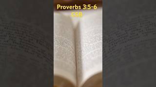You Can Use These Videos To Help With Scripture Memorization (Proverbs 3:5-6)