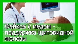 Фейхоа с медом при лечении и профилактике заболеваний щитовидной железы