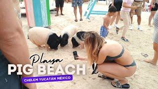 ASI ERA PLAYA CERDITOS EN YUCATÁN MÉXICO - Puerto Progreso Yucatán - lugares que visitar en Yucatán