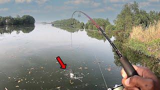 Mancing Casting di Muara besar dapat banyak Sambaran !! mancing umpan micro jig 10 gram