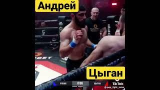 Андрей Цыган