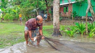 Fantastic Net Fishing After Rain || Catching Big Fish By Village Traditional Fisherman
