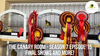 The Canary Room Season 7 Episode 15 - The End of The Shows and 2025 Birds