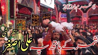 Mola ali asghar as ki shahadat ki manzar kashi mola hussain as k rozy mein|6 muharram 2024 karbala