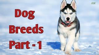 | Dog Breeds | |  dog breeds a-z | |  dog breed | | all dog breeds | | german shepherd | | bulldog |