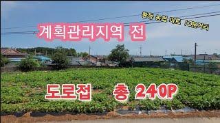 20303 시골토지 매매 익산시 토지 매매 총240p 계획관리지역 전 황등농협마트 10분 거리 위치 도로접 진입로 좋음 지대 높음 시골땅 매매가 4,320만원 백년부동산