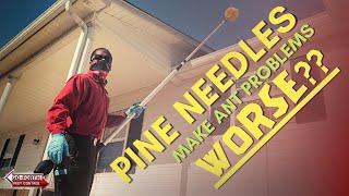 A BIG Tip for Keeping Ants Away From Your Home // Pest Control Exterminator // Ride Along with Doug