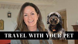 How To Travel Internationally With Your Pet