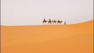 Desert tour & Camel treck, Marrakech to Fes via merzouga