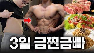 3일동안 +3kg 쪘을 때, 근손실 없이 체지방 없애는 방법