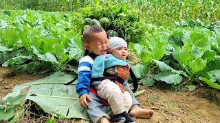 Harvest pumpkins and tops and bring them to the market to sell - cook with your children