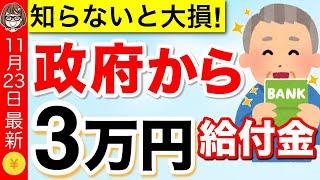 【11月23日最新】政府から3万円給付金！2024年冬の物価高対策を分かりやすく解説【低所得・年金受給者】