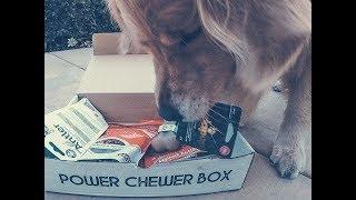 Unboxing Power Chewer Box | Oshies World