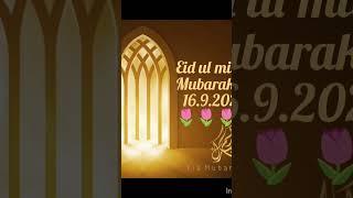 16.9.2024Eid ul milad Mubarak//shorts#Islamic short # yt#ayaan #ayaan Islamic channel_786@