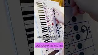 ЗАПОМНИТЬ НОТЫ I урок музыки I начинающим #занятиясдетьми #piano #обучение