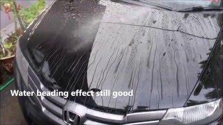 Nanolex Si3D Paint Protection Coating after 11months