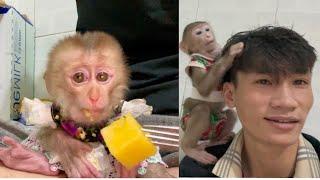 Can monkey kaka and Mit come back again? Dad takes care of two baby monkeys️️