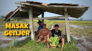 MENCARI GENJER DI SAWAH BERSAMA PAK B dan lek sudir