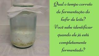 Qual o tempo correto de fermentação do kefir de leite