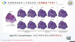 空转第九课空间信号流commot 空转第九课空间信号流commot