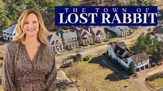 The Town of Lost Rabbit | Madison Mississippi