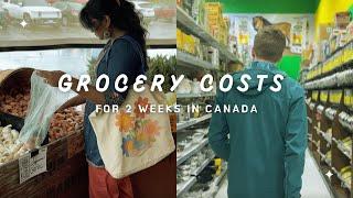 How much does it cost to buy groceries in Canada | Indian living abroad in Canada | Canadian Couple