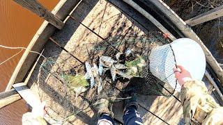 СНАСТЬ КОТОРАЯ ЛОВИТ САМА! ЗАКИНУЛ В ВОДУ И СОБРАЛ РЫБУ. Новый способ зашёл на все 100. Рыбалка 2025