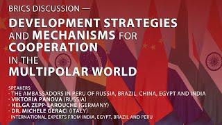 BRICS Event: Development Strategies and Mechanisms for Cooperation in the Multipolar World