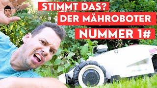 Ist er wirklich der Beste Mähroboter?  -Mammotion Luba 2 AWD