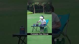 Discover the Secret of the Best Windproof Master Cook Gas Stove