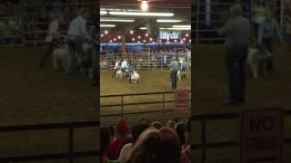 Fort Bend County Fair Cross Breed Reserve Champion Jimmy