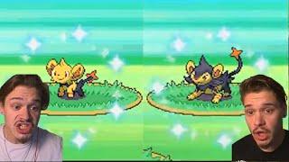 Live Shiny Shinx & Luxio - Safari Week 2022!!