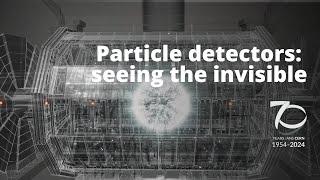 Particle detectors: seeing the invisible
