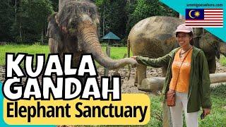 KUALA GANDAH National Elephant Conservation Centre, Malaysia - Is it Ethical?