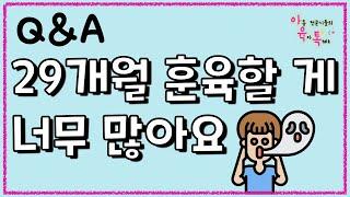 29개월 훈육할 것 투성이인데 어떡하죠? (아육톡Q&A)