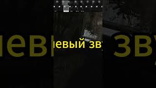 -3 на Общагах Таможня, сделал Подставу в Таркове ● Tarkov ● EFT ● escape from tarkow