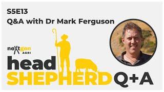 Season 5: Q&A with Dr Mark Ferguson